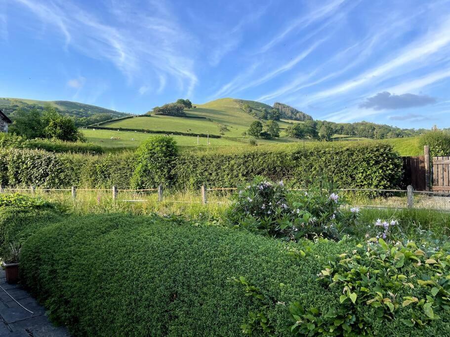 Y Felin Bed&Breakfast&Smallholding Caersws Exterior foto