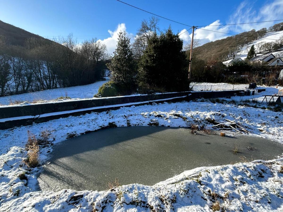 Y Felin Bed&Breakfast&Smallholding Caersws Exterior foto