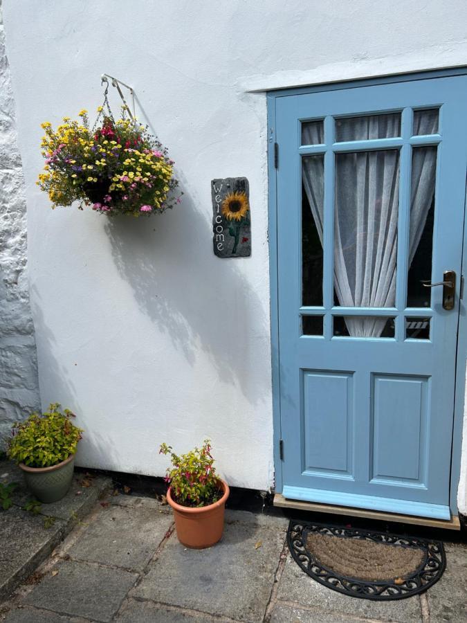 Y Felin Bed&Breakfast&Smallholding Caersws Exterior foto